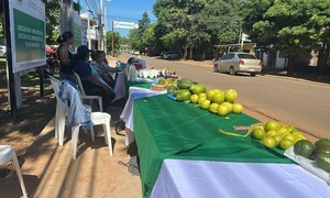 Feria de Tekoporã Mbareté arranca el 2026 con alta participación y ventas exitosas en Coronel Oviedo - OviedoPress