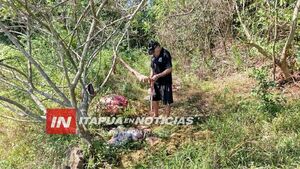 ABIGEATO EN ENCARNACIÓN DEJA PÉRDIDA DE GANADO Y MOVILIZA A AUTORIDADES