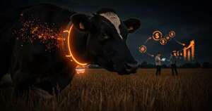 Collares con IA crean cercas vituales en el campo