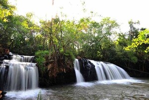Reserva Natural Pozuelo de Itaipú cumple 12 años como pieza fundamental en la conservación del BAAPA | DIARIO PRIMERA PLANA