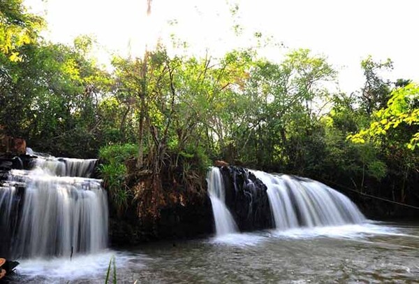 Reserva Natural Pozuelo de Itaipú cumple 12 años como pieza fundamental en la conservación del BAAPA | DIARIO PRIMERA PLANA