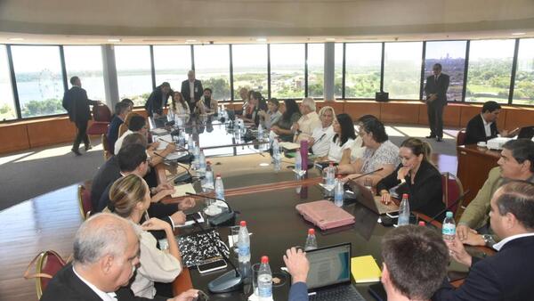 Farmacéuticas: Piden modificar decreto reglamentario del PGN para el cobro de la deuda