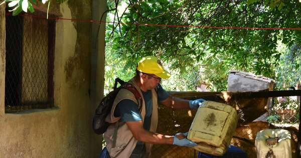 La Nación / Mosquitos al acecho, el plan para evitar brotes en Semana Santa