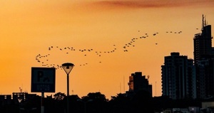 Clima caluroso dominará el fin de semana