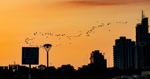 Clima caluroso dominará el fin de semana