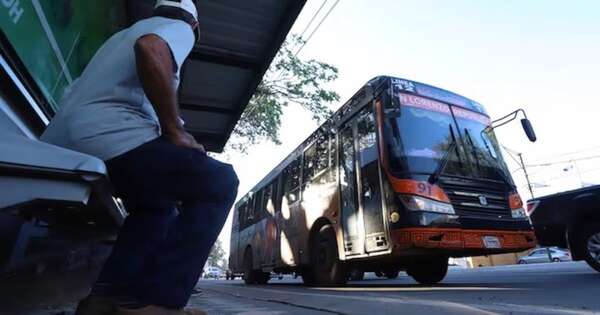 Diario HOY | No habrá buses hasta el lunes a la media mañana como mínimo
