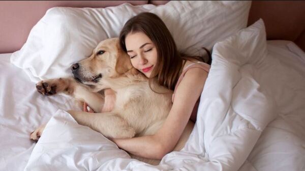 “Me chutó porque le pedí que saque de la cama a sus perros”
