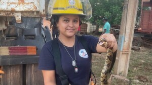 Video: Ñacaniná se esconde entre las ruedas y sorprende a camionero en Concepción