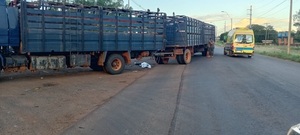 Motociclista fallece tras chocar contra un transganado en la Ruta PY05 - Concepción al Día