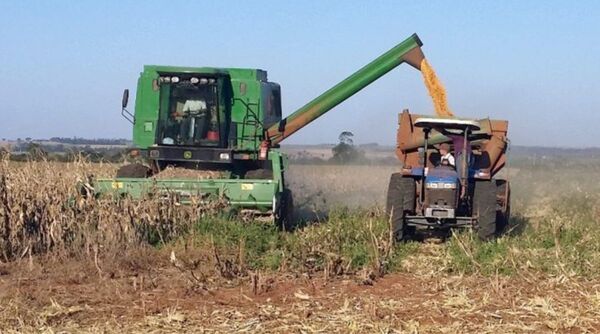 Crecimiento del PIB llegó a 6,6% en 2025 según datos consolidados del BCP, con gran desempeño del sector agrícola