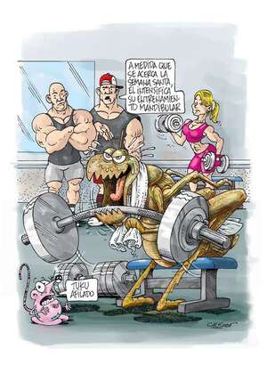 Caló rembiapo - ABC Revista - ABC Color