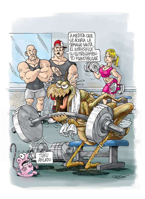 Caló rembiapo - ABC Revista - ABC Color