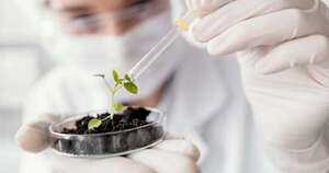 La Nación / Apuntan a fortalecer el ecosistema biotecnológico