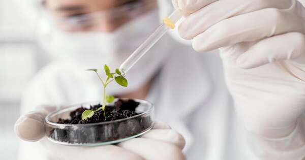 La Nación / Apuntan a fortalecer el ecosistema biotecnológico