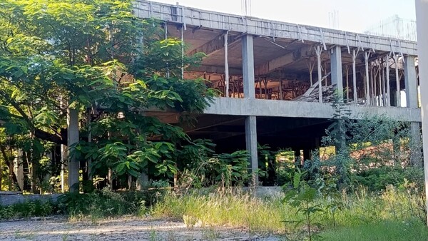 IPS: USD 6,8 millones para jardinería, pero sus predios siguen con malezas