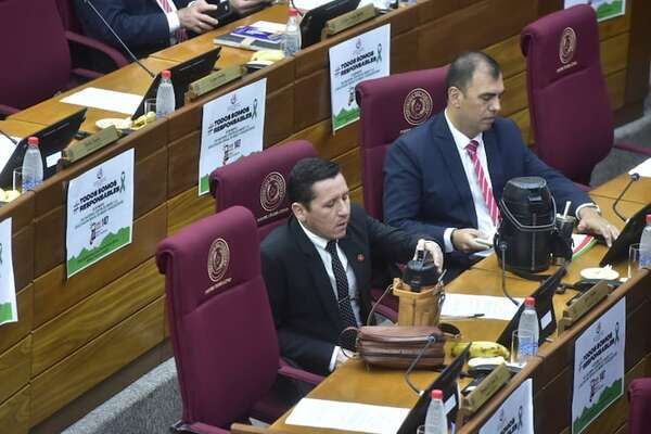 Piden que caso Chaqueñito se tome con celeridad y sin injerencia política - Política - ABC Color