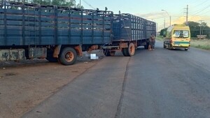 Motociclista fallece tras chocar contra camión transganado en Concepción