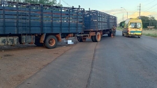 Motociclista fallece tras chocar contra camión transganado en Concepción