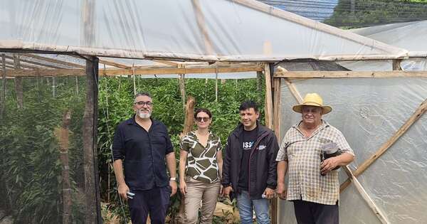 La Nación / Coronel Oviedo: impulsan uso eficiente del agua a través de sistema de riego israelí