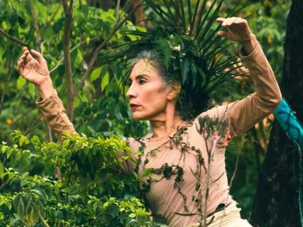 Danzar con pájaros: una residencia internacional que une ciencia, arte y naturaleza en Paraguay - Cultura - ABC Color