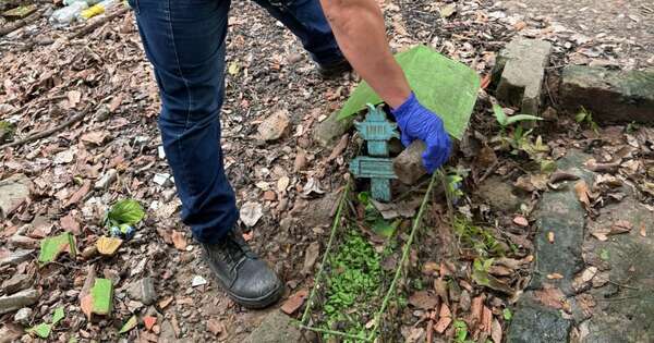 La Nación / Senepa reforzará acciones contra los mosquitos por Semana Santa