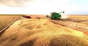 Soja, principales polos productivos del país y rendimientos