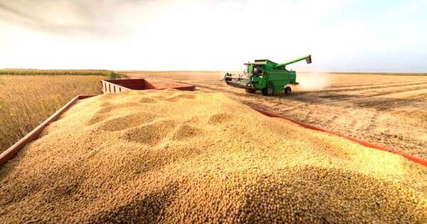 Soja, principales polos productivos del país y rendimientos