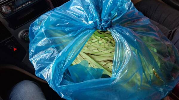 Encontró una bolsa llena de pindó y buscó al dueño