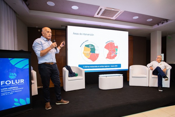 Nopal sin espinas: El «reservorio vivo» que puede blindar a la ganadería chaqueña ante la sequía