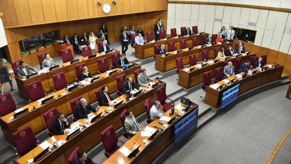 Senado posterga plan de Bachi para suprimir pago de cuestionadas bonificaciones