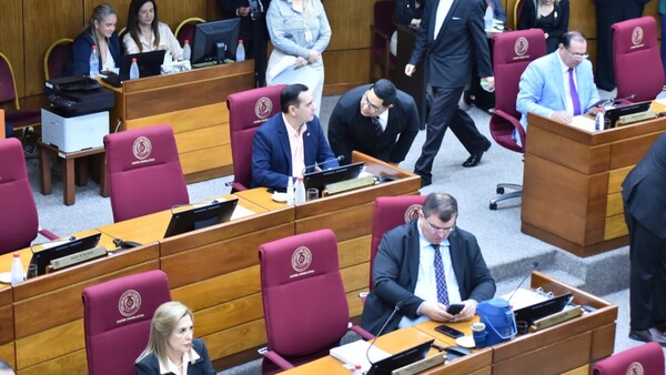 Senadores aprueban varios acuerdos y convenios con el Mercosur