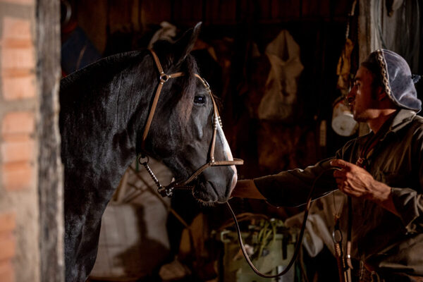 Criollos Entre Amigos prepara su cuarta edición con genética destacada y condiciones comerciales competitivas