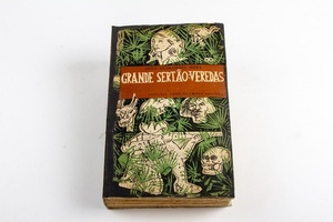 Ciclo de actividades por los 70 años de "Grande Sertão: Veredas" en el Instituto Guimarães Rosa