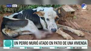 Capiatá: Prisión domiciliaria para un hombre por la muerte de su perro atado