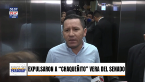 Expulsaron a "Chaqueñito" Vera del Senado