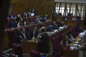 Blindan a intendentes y gobernadores cartistas en Diputados - Política - ABC Color