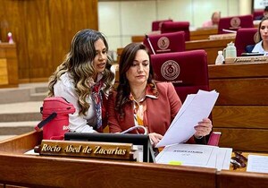 Solicitan al Ministerio del Interior datos acerca de la dotación policial asignada al Alto Paraná | DIARIO PRIMERA PLANA