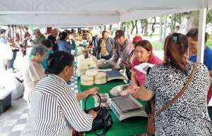 Feria de agricultura familiar impulsa ventas por Semana Santa en Pilar - Nacionales - ABC Color