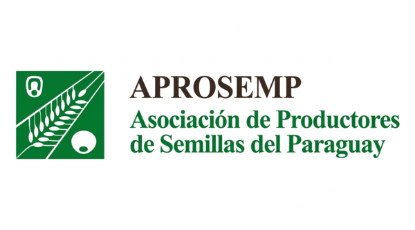 El Ing. Agr. Fabián Pereira asume la presidencia de APROSEMP y marca agenda para la semilla nacional - 5Días