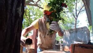 Lucha contra el dengue: SENEPA intensifica acciones en todo el país