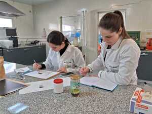 Calidad e investigación como causa nacional - El Trueno