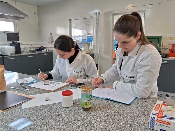 Calidad e investigación como causa nacional - El Trueno