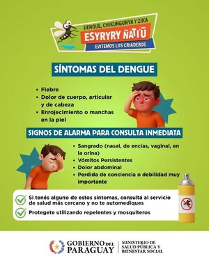 Dengue: si estás con síntomas, no viajes
