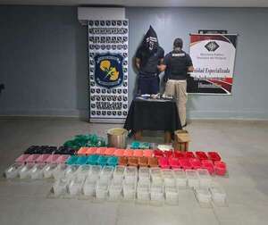 Detectan supuesto laboratorio clandestino de drogas y detienen a un brasileño en Pedro Juan Caballero - Policiales - ABC Color