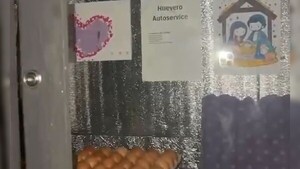 Llegás, te servís y pagás: así venden huevos en Campo 9, sin nadie atendiendo