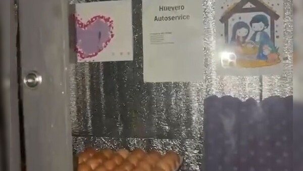 Llegás, te servís y pagás: así venden huevos en Campo 9, sin nadie atendiendo