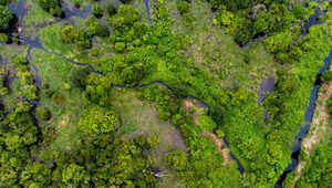 “El mercado de carbono es un mecanismo financiero para la acción climática” - 5Días