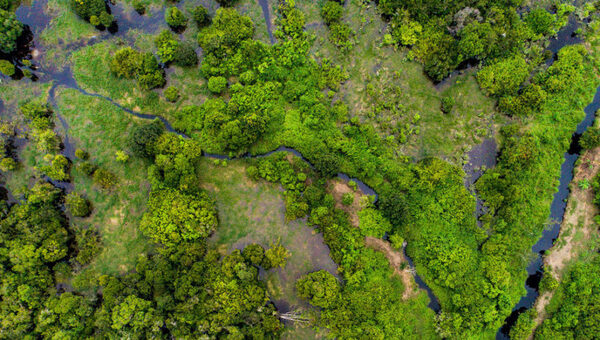“El mercado de carbono es un mecanismo financiero para la acción climática” - 5Días