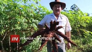 PROGRAMA PROPY/ITAPÚA IMPULSA PRODUCCIÓN AGRÍCOLA FAMILIAR EN EL DEPARTAMENTO