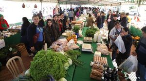Ferias de la Agricultura Familiar alcanzaron G. 800 millones en ventas en Asunción y San Lorenzo